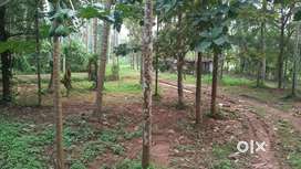 RESIDENTIAL LAND FOR SALE KOVOOR CALICUT