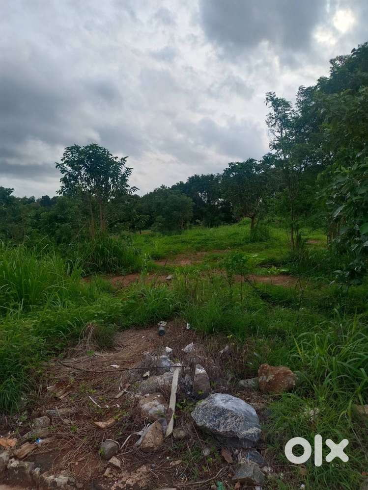 9 Cent House plot for Sale in Elappully, Palakkad