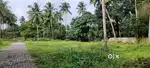 6 cents parambu  house plot for sale
