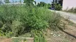 75 square yards plot for sale in vishnupuram 1st approved
