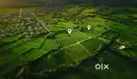 near rajagiri hospital 4.5 cent land residential villa plot