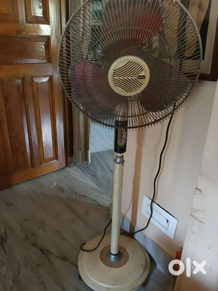 Orient Pedastal fan