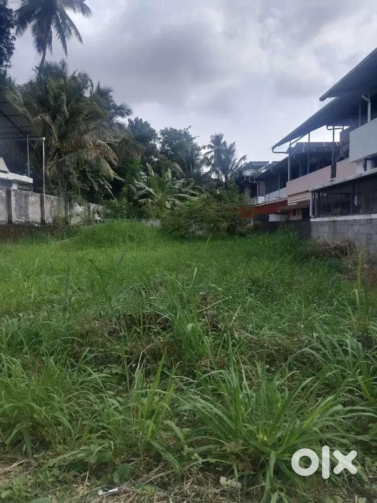 Thrissur East Fort near 6 cent plot for sale per cent 10 lakh