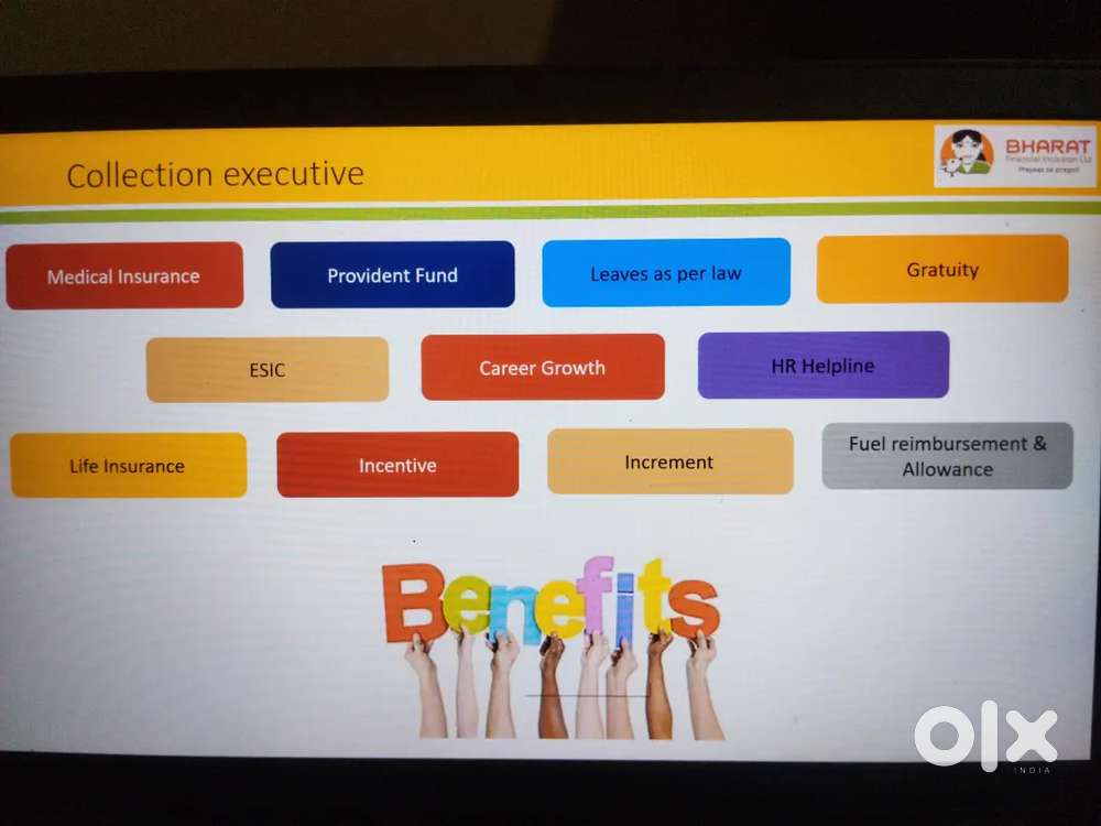 Collection executive