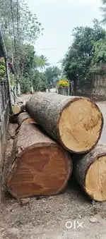 Wood sale(അയണി)