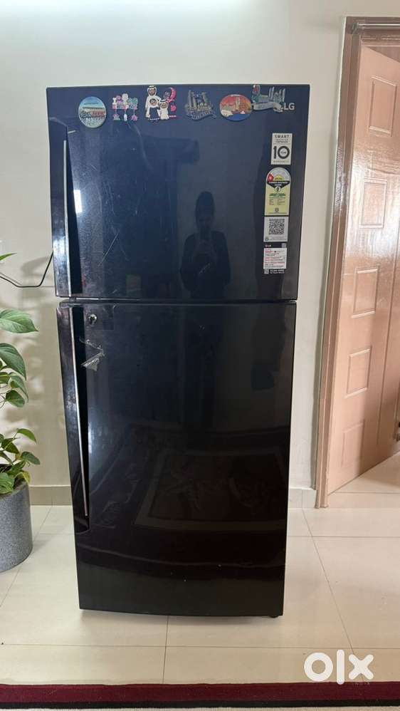 Lg brand new fridge