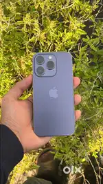 14 Pro Deep Purple 128gb 79%