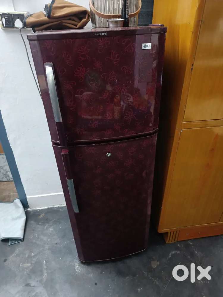 LG double door fridge