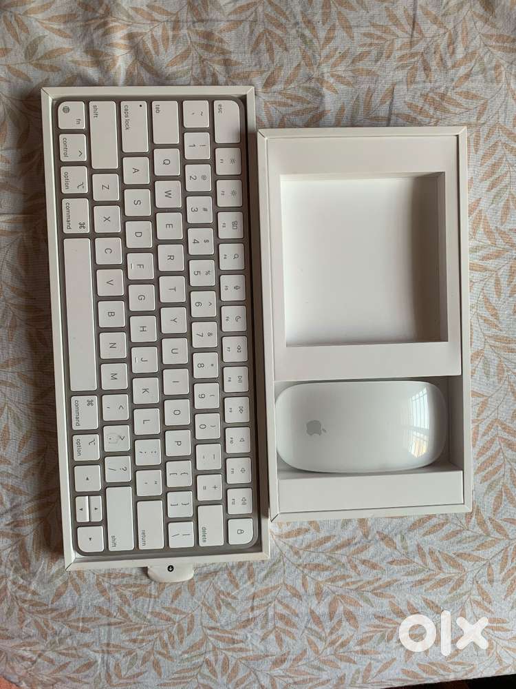 Apple magic keyboard and Magic Mouse