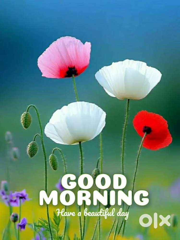 Job vacancy in a leading private bank in Kollam