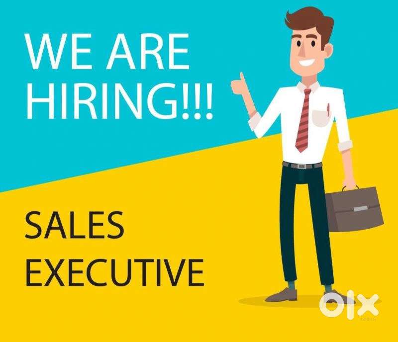 We are hiring field executive