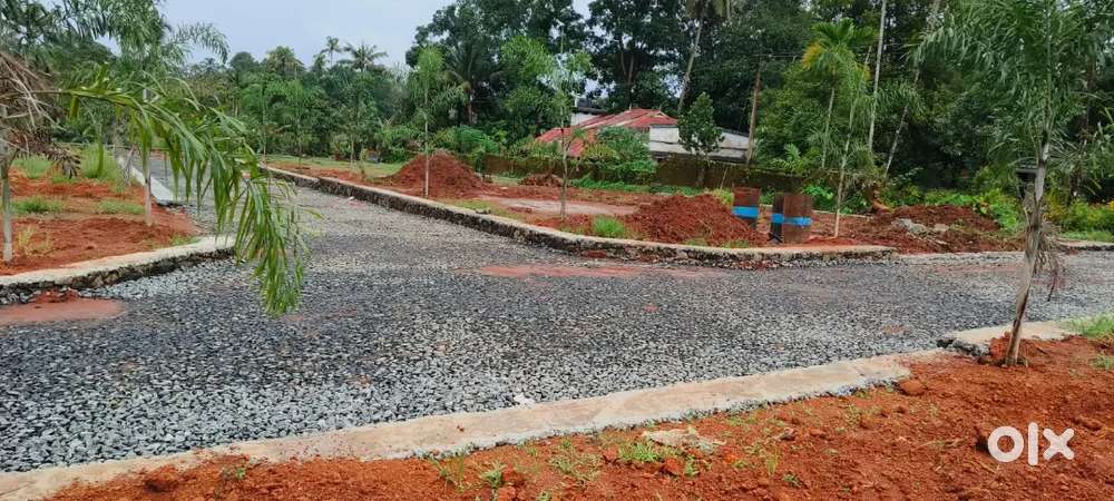 ANGAMALY, THURAVOOR, BEAUTIFUL HOUSE PLOTS FOR SALE 4,6,8,10,CENTS