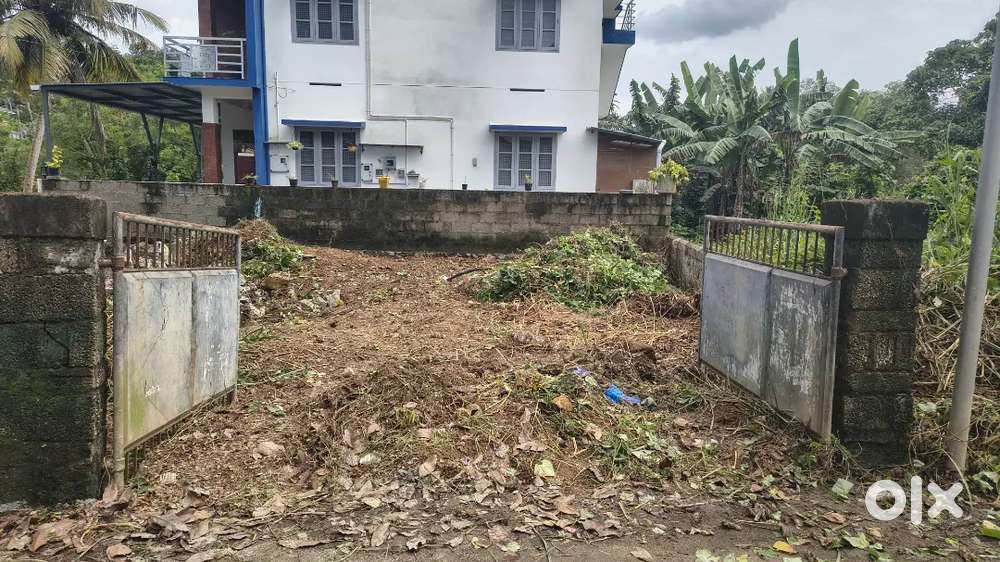 Lorry access squre plot for sale for Rs 6,50,000 at Thittamangalam