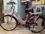 Lady bird cycle