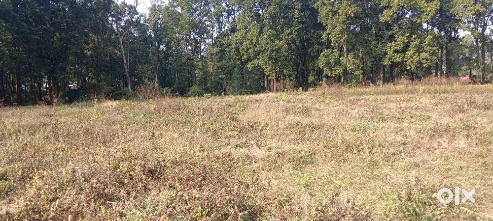 Residential Plot for Sale