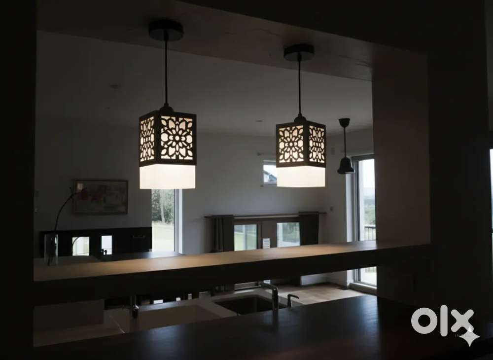 Premium Designer Pendant Lamp – Brand New And Sealed Just 499/- Only