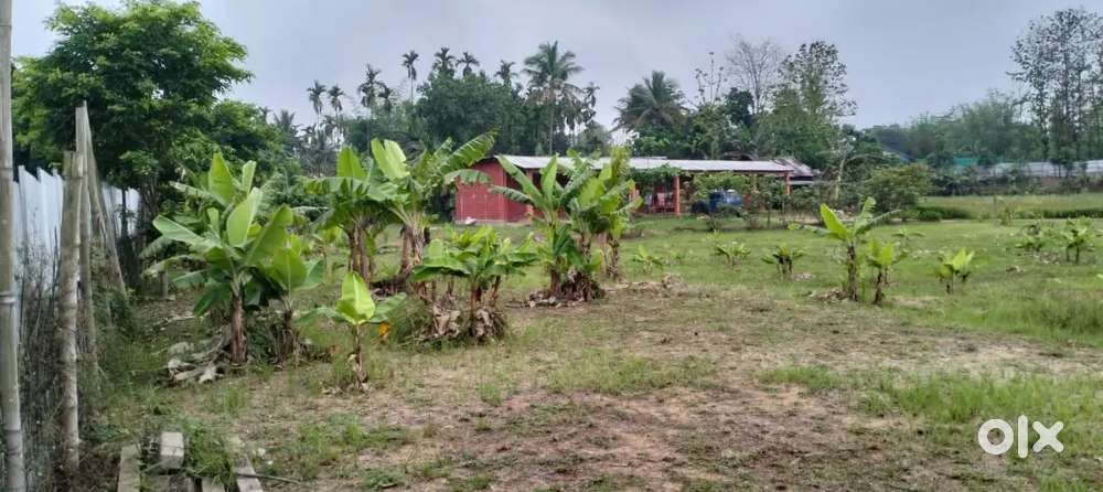 Urgent land for sale