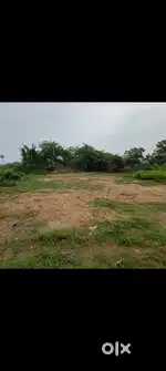 Land for sales