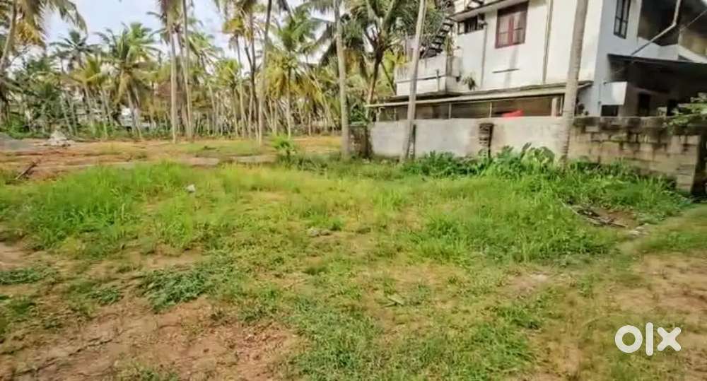 4.75 cents Residential Plot For Sale in Kaniyapuram Near Bright School