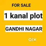 1 kanal plot Housing Gandhi nagar