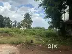 Iob colony, Maruthamalai affordable plots for sale