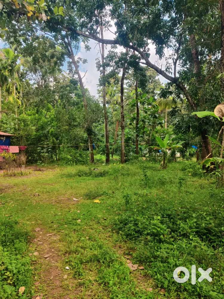 Pullur, irinjalakuda, annuruli, 12 cent land 1.90 lakhs