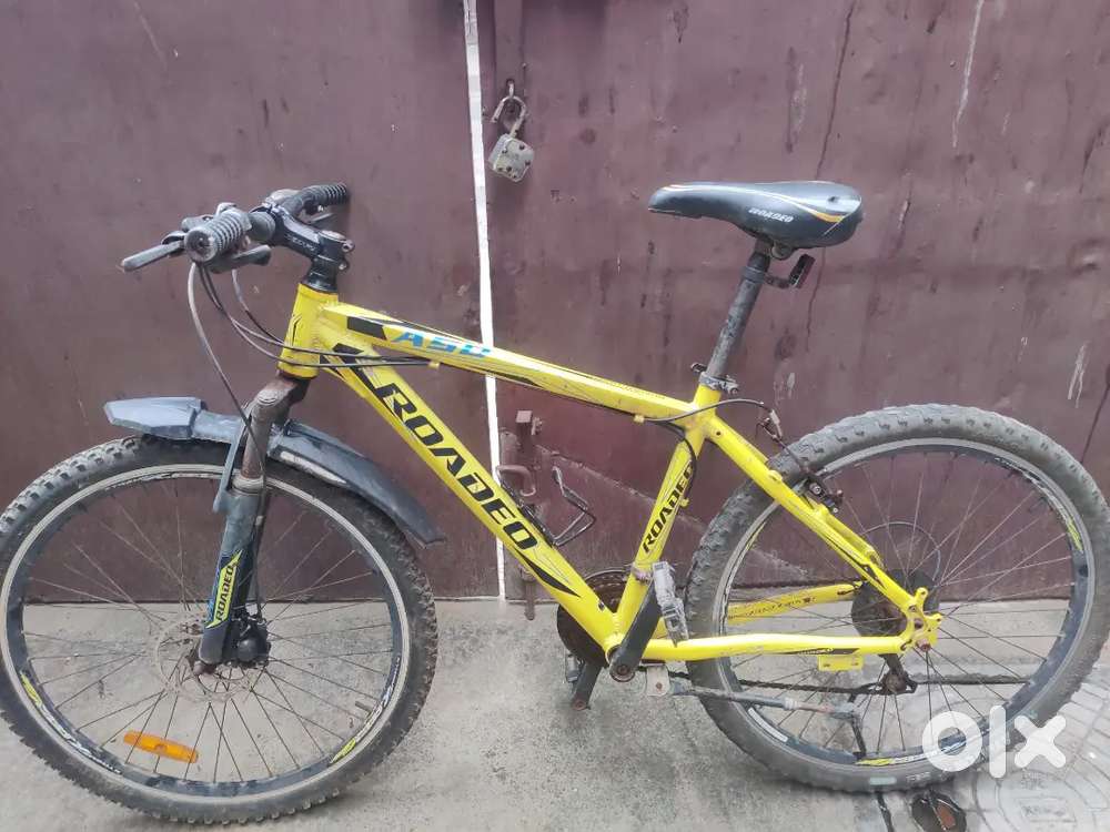 Roadeo Alloy frame Bicycle