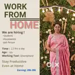 Online Work opportunity