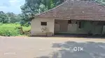 1 BHK House for Rent near Mutholy,Brilliant ,Pala ,Cherpunkal medicity