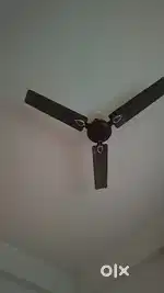 બેકલર ફેમિલી ભાડે આપવાનું