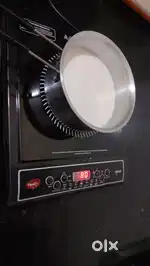 Pigeon electric induction gas