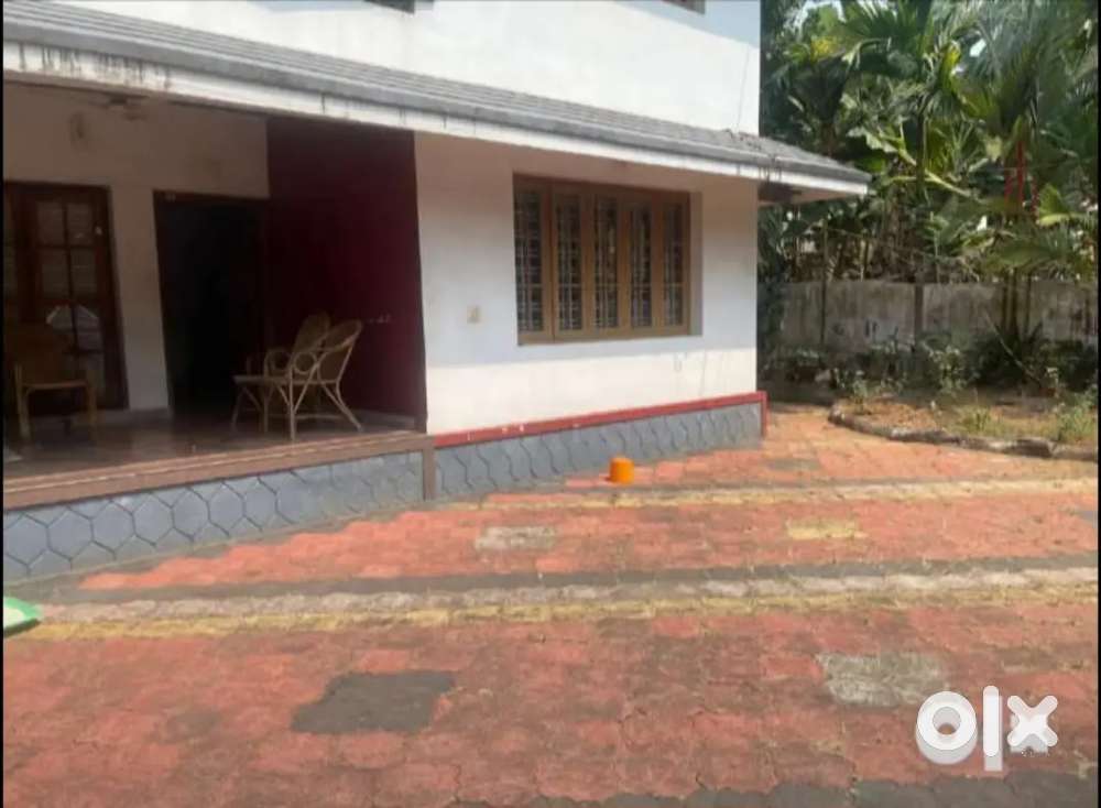 4 Yrs old 2 bhk house in 3 cent at Mattakuzhy, Ernakulam for sale