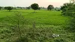 Siwaji bosss