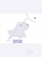 THE PARADICE PROJECT PLOTS