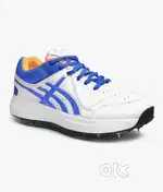 Pro ase cricket spikes