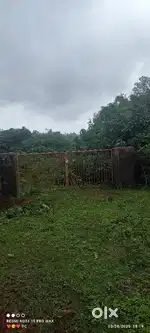 Agriculture land for sale
