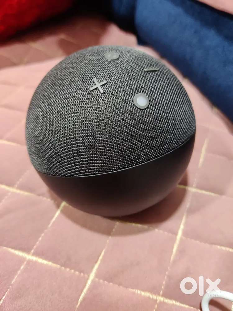 Smart Speaker