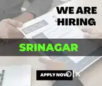 Srinagar home based Career
