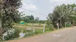 SC Land for farm house for sale near Siruli Mahavir , Puri