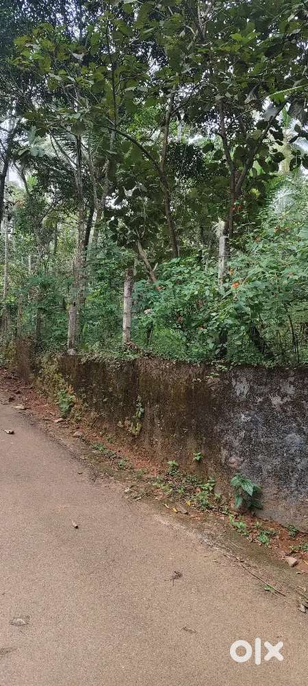 15 cent square plot suitable for house,200 mtr from kokkallur junction
