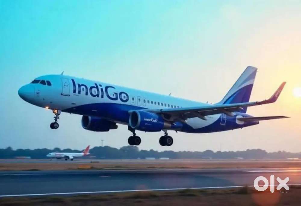 We are for the Indigo airlines. Fresher can apply urgent Hiring