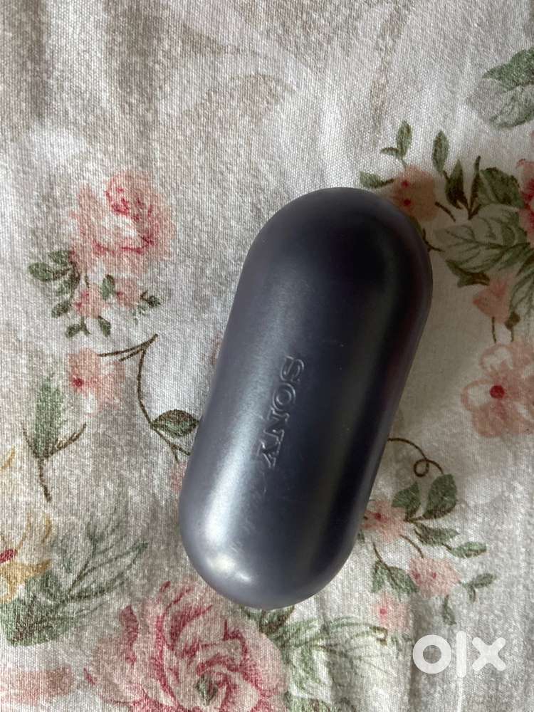 Sony Earbuds WF-C500
