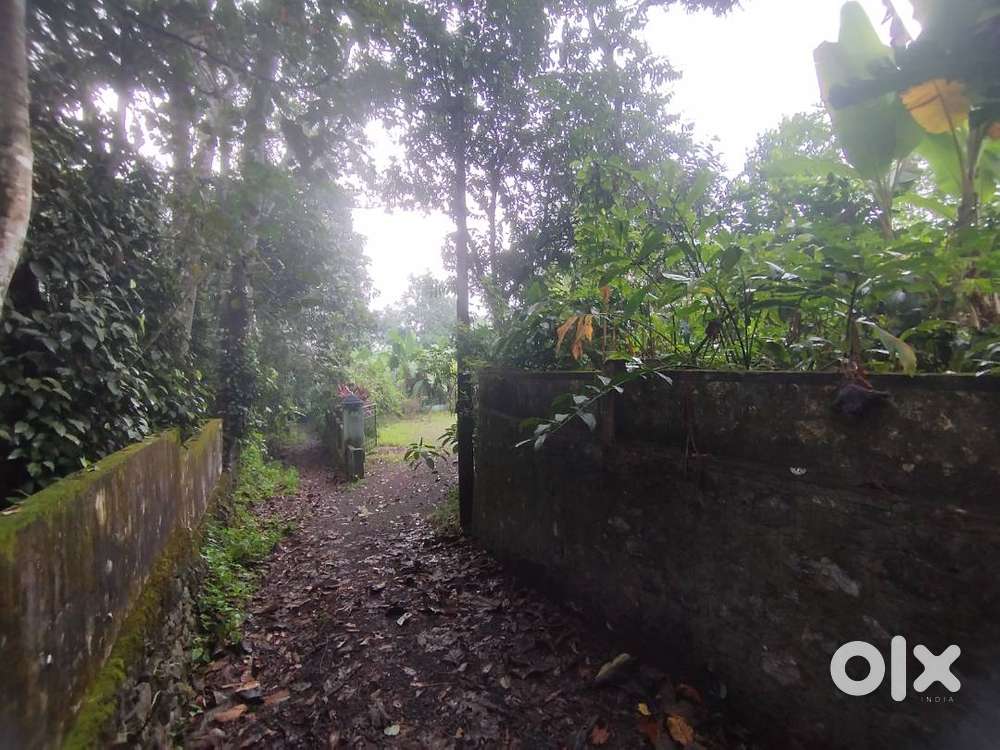 Land for imminent sale with low price