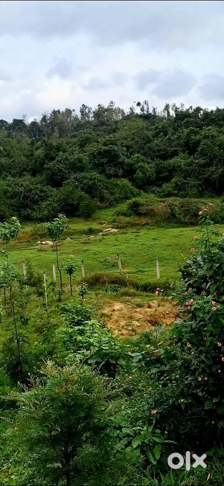1 acre land 1.5km from from national highway