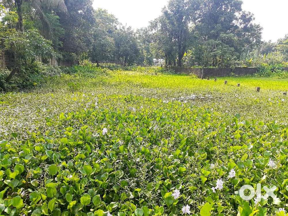 10 katha land