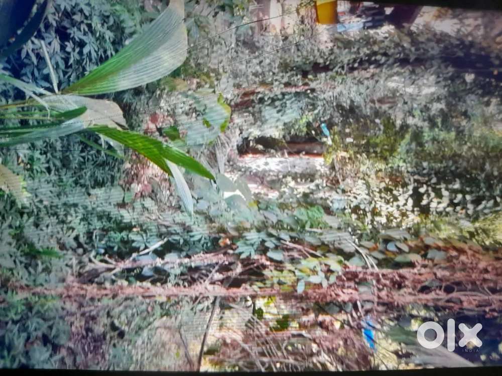 GARDN OFICE BHADE PE DENA HAI BAHUT SUNDER CENTRE JAGAH PONDA GOA MEIN