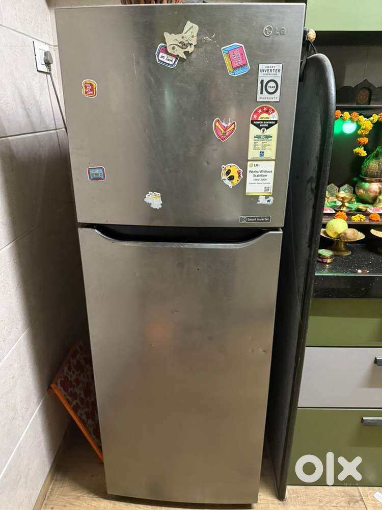 LG 255 L double door fridge
