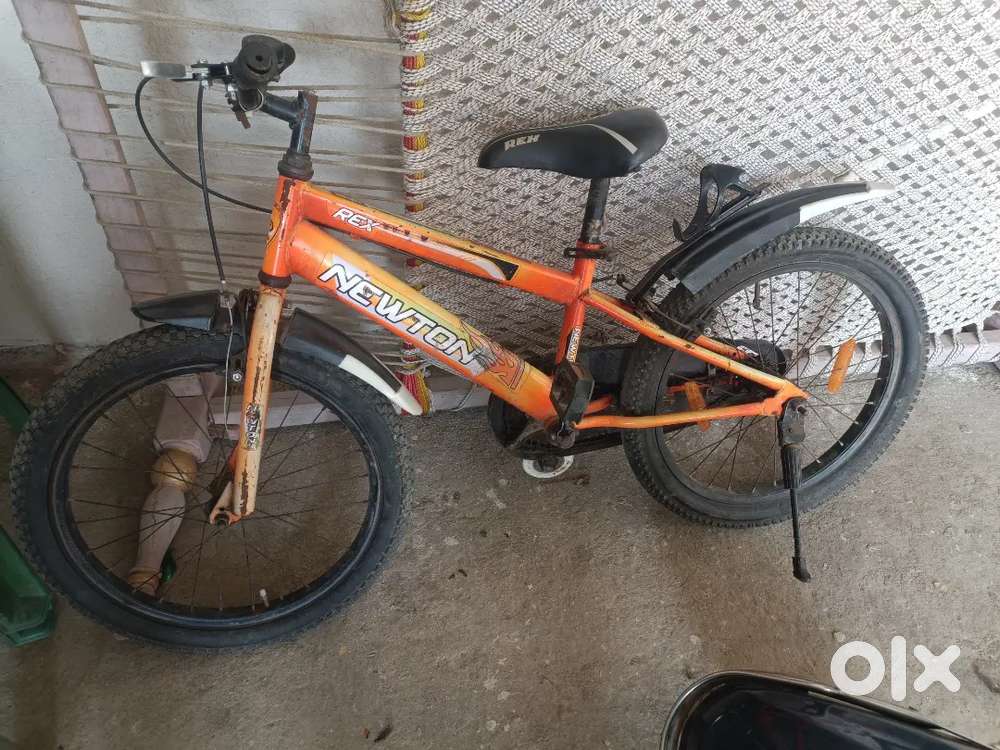 5 years to 9 years Cycle