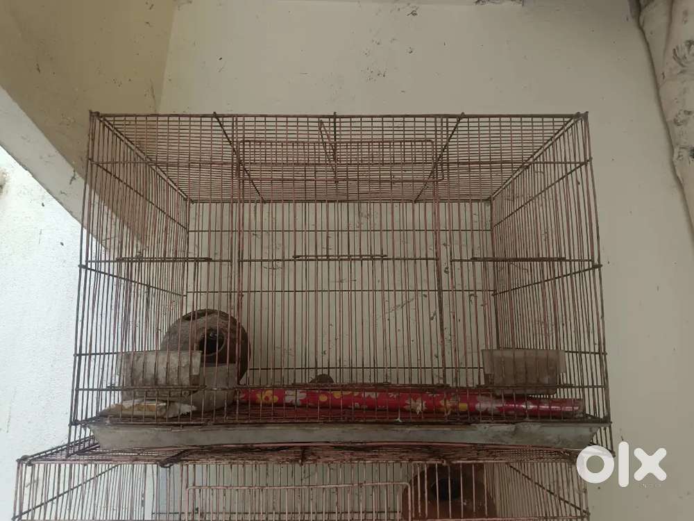 Used Pet cages
