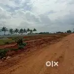 RERA APPROVED SITE FOR SALE IN CHIKKATIRUPATI CLOSE TO TEMPLE